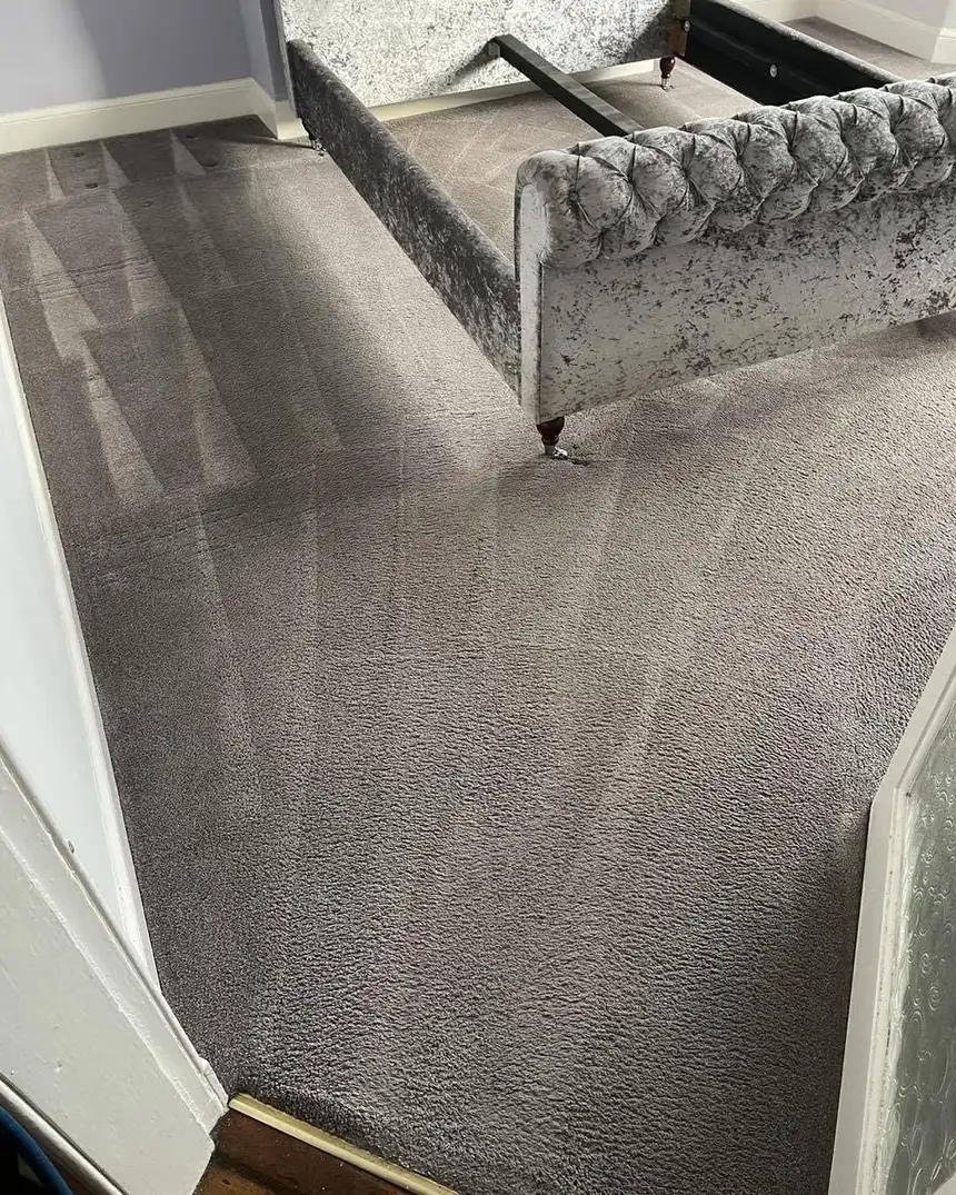 Grey bedroom carpet with even pile and visible cleaning wand stripes after cleaning