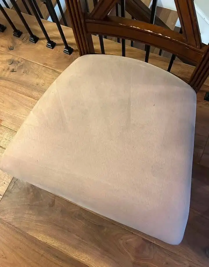 Blush velvet dining chair seat cleaned to an even pale pink with no ring marks