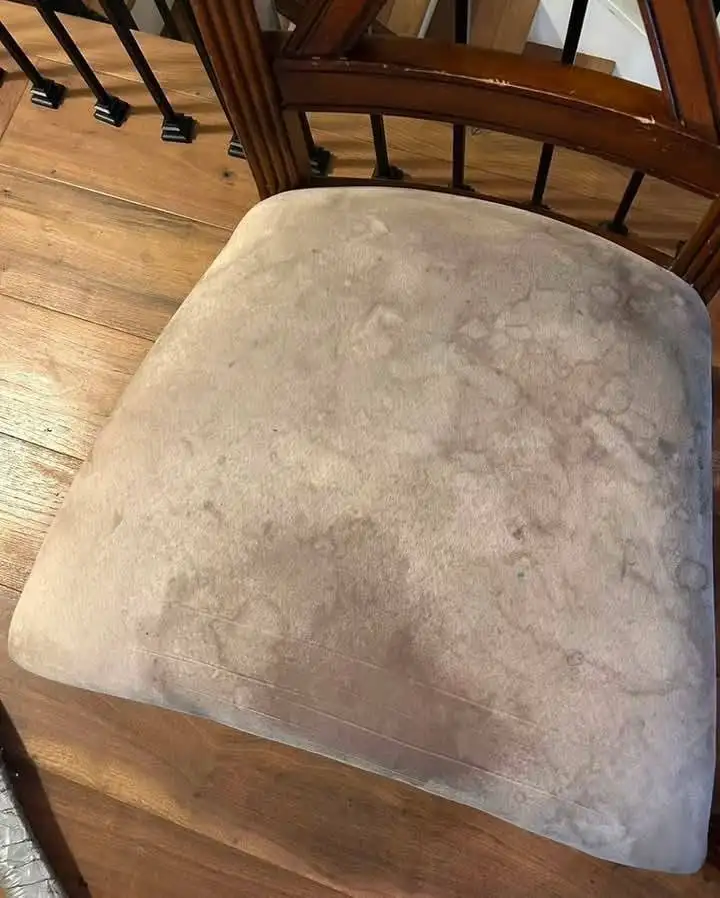 Blush velvet dining chair seat covered in water rings and grey-brown blotching