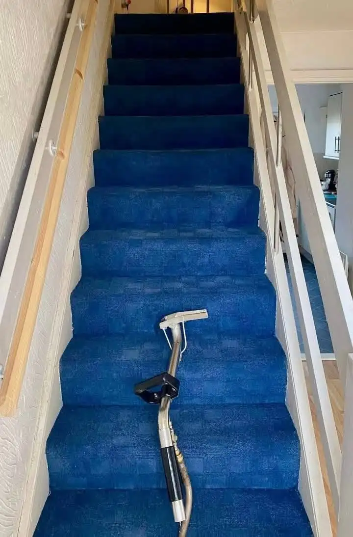 Blue stair carpet cleaned to a bright even blue with an extraction wand on the steps