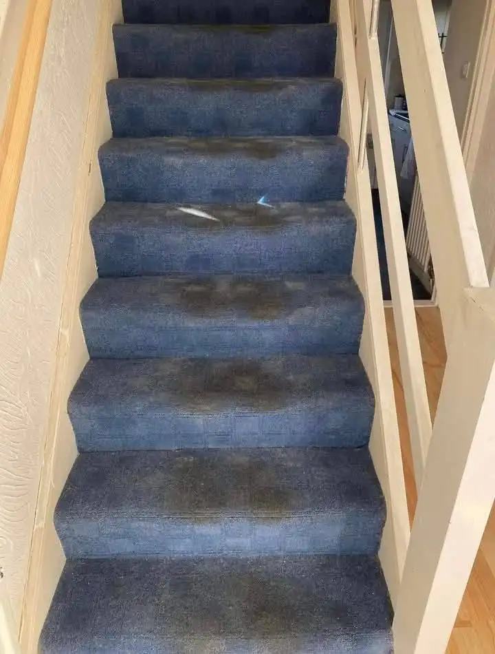 Blue stair carpet heavily darkened with grey-brown traffic soiling on every tread