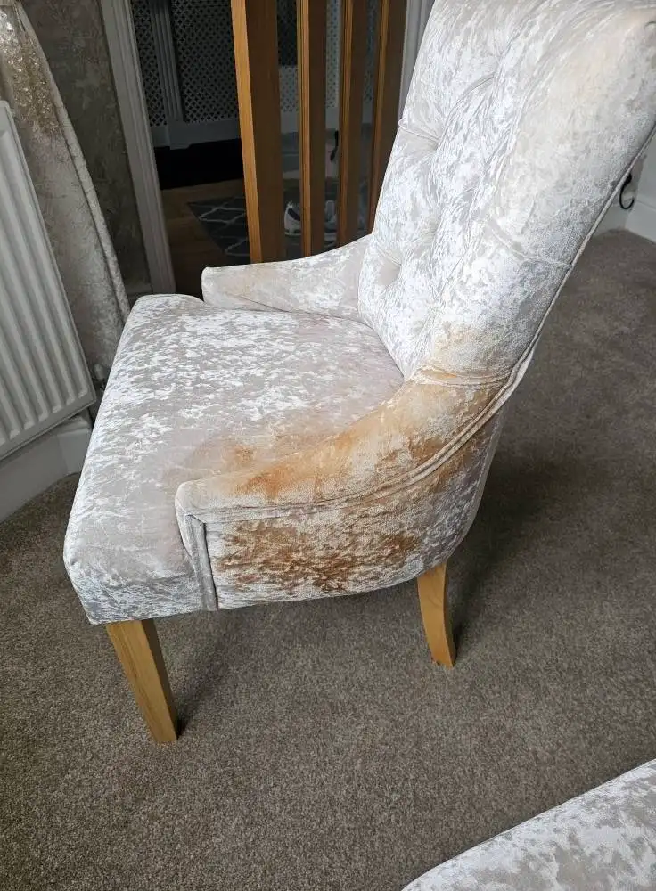 Cream crushed velvet accent chair with heavy tan staining on arm and seat