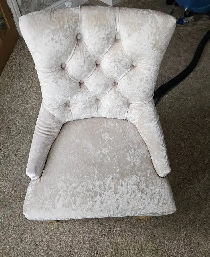 Cream crushed velvet buttoned chair looking clean and even, cleaning hose behind