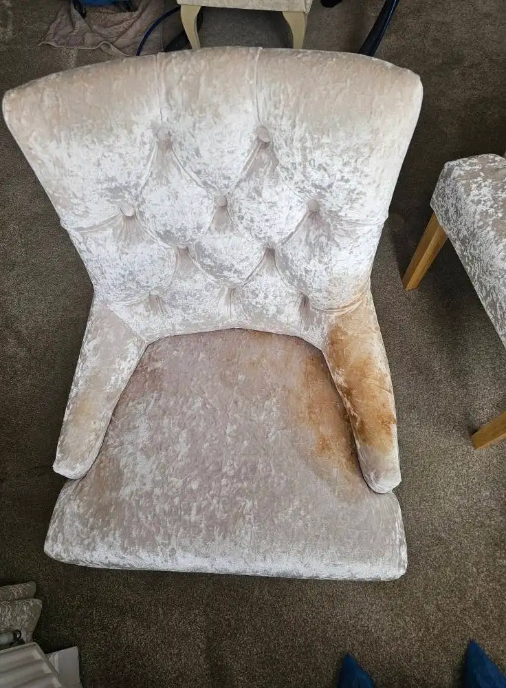 Cream crushed velvet buttoned chair with brown soiling on arm and dull seat